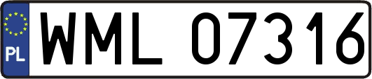 WML07316