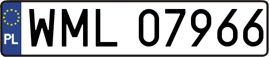 WML07966