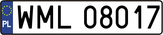 WML08017