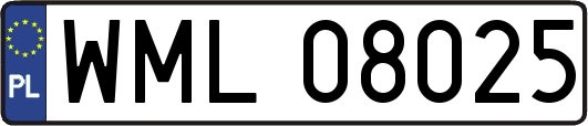 WML08025