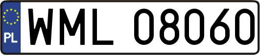 WML08060