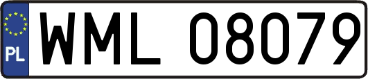 WML08079