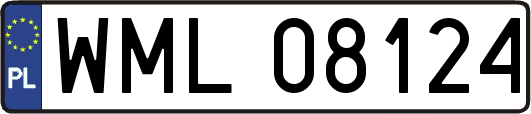 WML08124