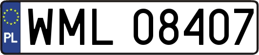 WML08407