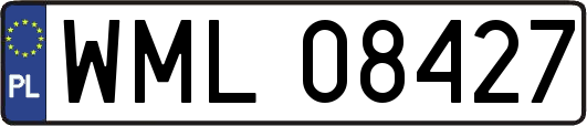 WML08427