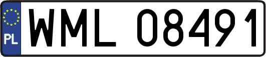 WML08491