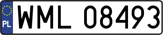 WML08493