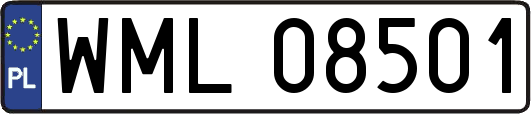 WML08501