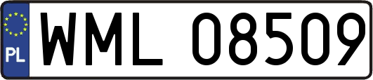 WML08509