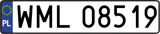 WML08519