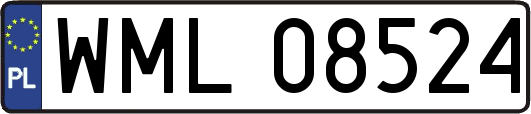 WML08524