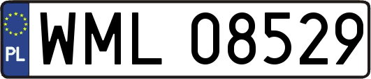 WML08529