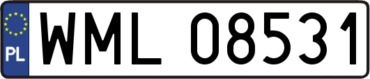 WML08531