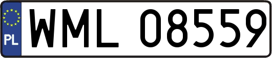 WML08559