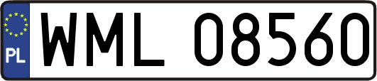 WML08560