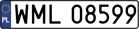 WML08599