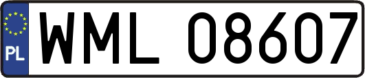 WML08607