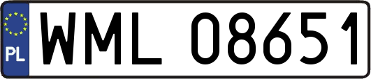 WML08651