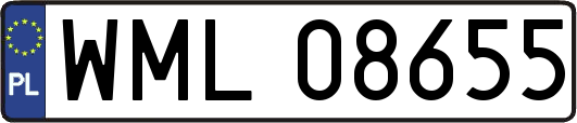 WML08655