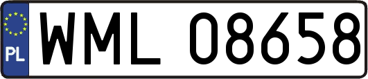 WML08658