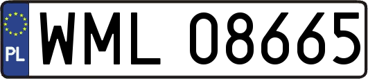 WML08665