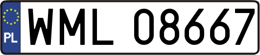 WML08667
