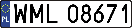 WML08671
