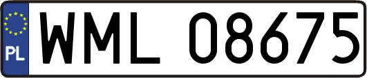 WML08675