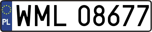 WML08677