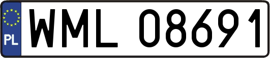 WML08691
