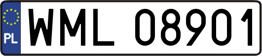 WML08901