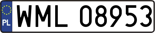 WML08953