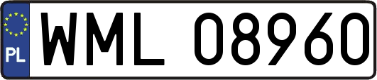 WML08960