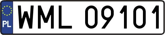 WML09101