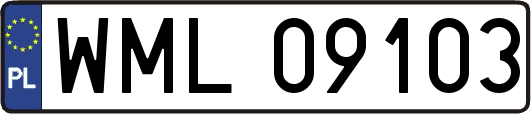 WML09103