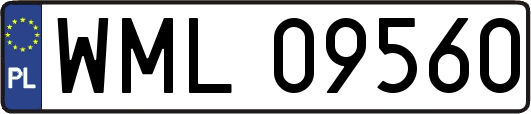 WML09560