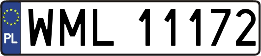 WML11172
