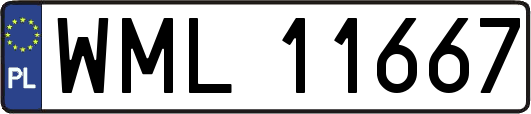 WML11667