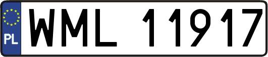 WML11917