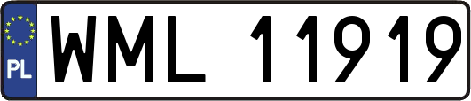 WML11919