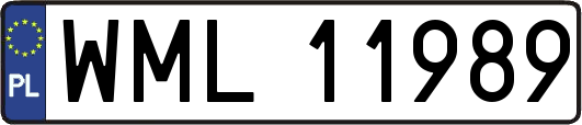 WML11989