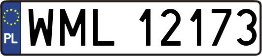 WML12173