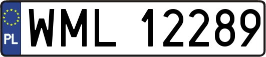 WML12289