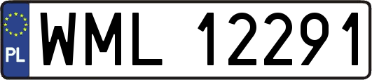 WML12291