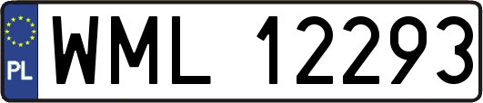 WML12293