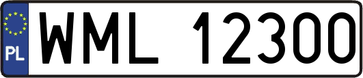 WML12300