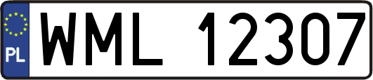 WML12307