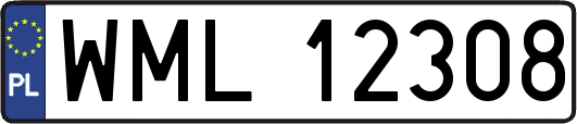 WML12308