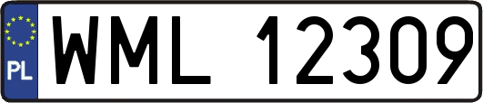 WML12309