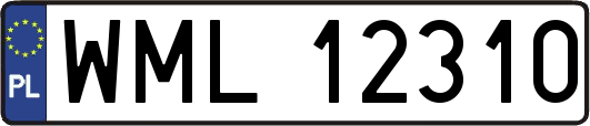 WML12310